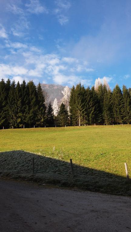 Apartment Knablhof Sankt Martin am Tennengebirge Zimmer foto